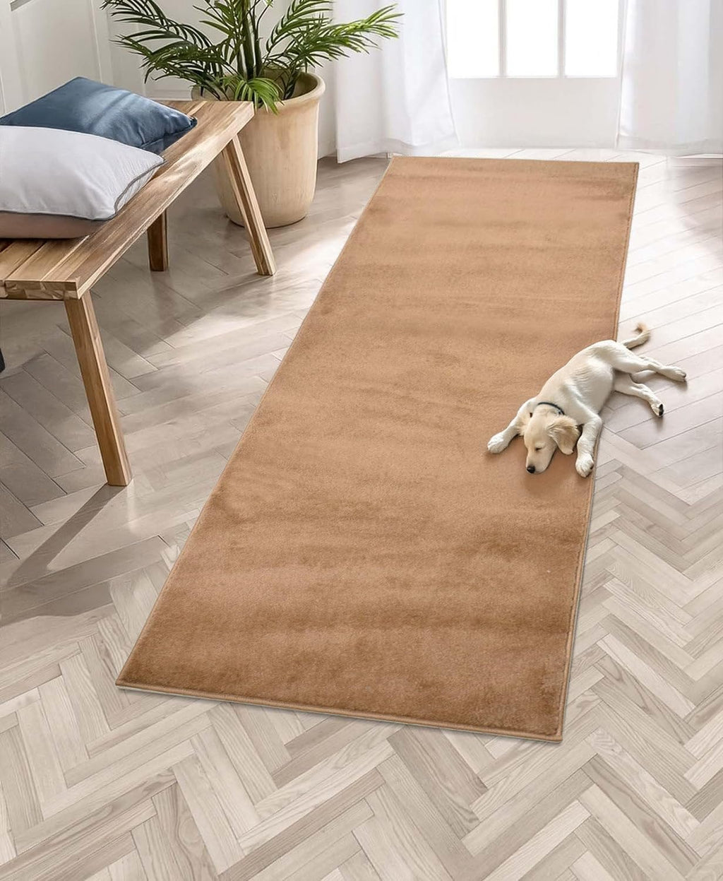 Solid Runner Rug 30in X 16ft