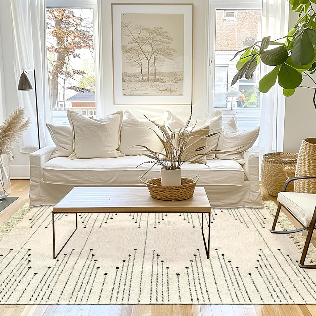 Tritard Boho Woven Area Rug 4x6