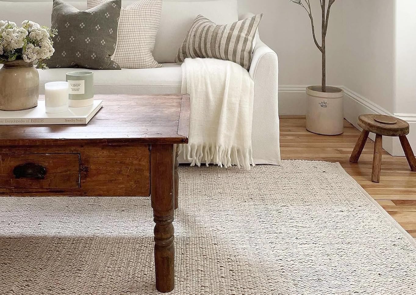 Braided Jute Cotton Area Rug 8' x 10'